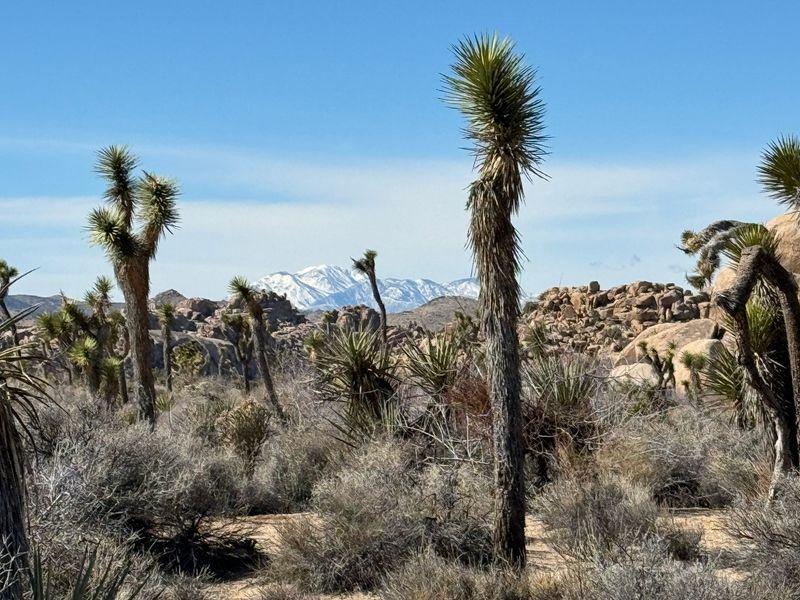 Wycieczka Usa Zachód Dolina Śmierci (1) - USA Zachód - Droga 66, Las Vegas, Wielki Kanion i Kalifornia | Shangrila Travel