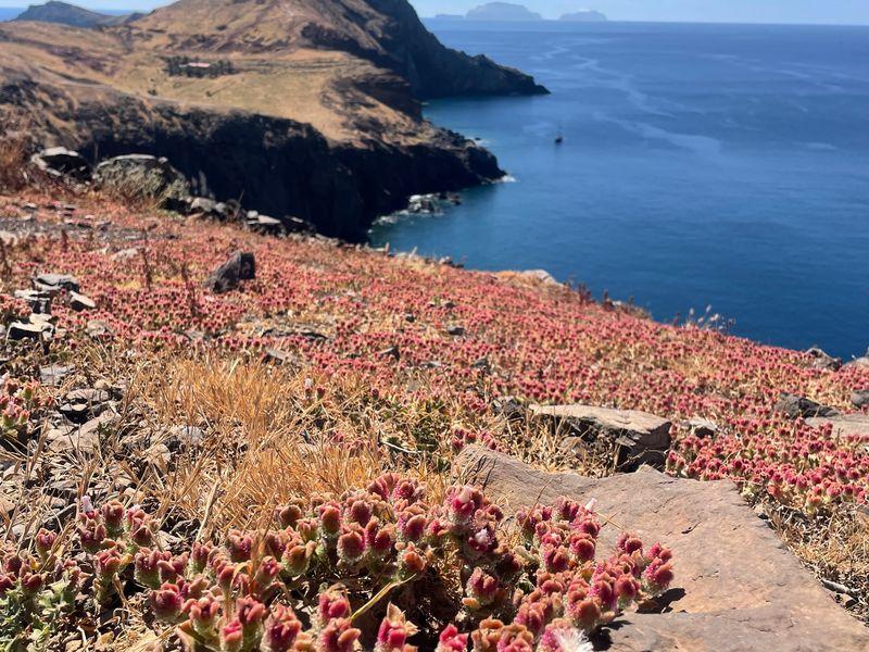 Wycieczka Madera Ponta Sao Laurenco - Azory i Madera - Portugalskie wyspy na środku Oceanu Atlantyckiego | Shangrila Travel