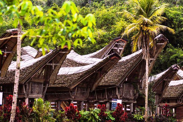 Poznaj kulturę i tradycje ludu Toraja