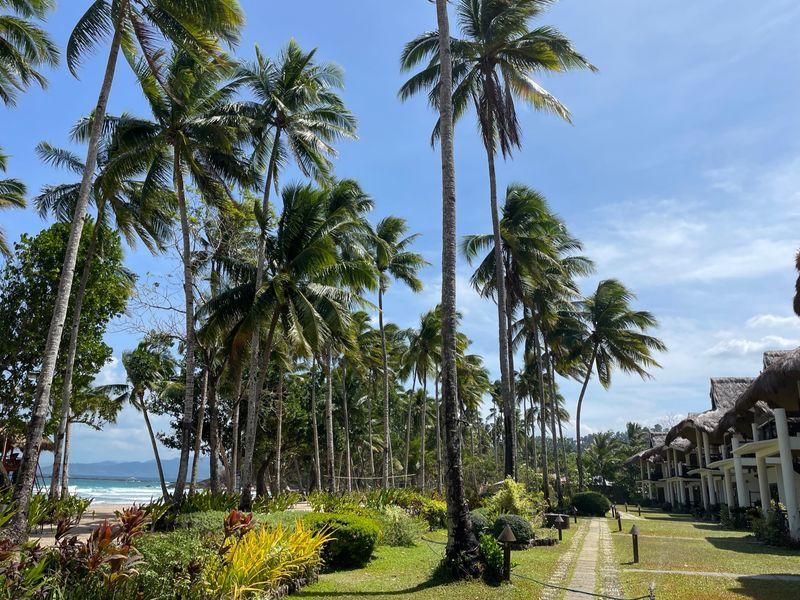 Wycieczka Filipiny Palmy - Filipiny - Rajskie plaże, bezludne wyspy, wyraki i historia Magellana | Shangrila Travel
