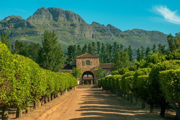 Poznaj proces produkcji wina w Stellenbosch