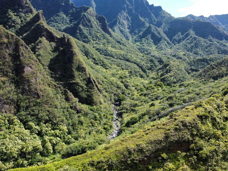 Wycieczka Hawaje Kanion - Hawaje - Maui, Oahu, Kawai i Hawaii - 4 różnorodne wyspy USA | Shangrila Travel