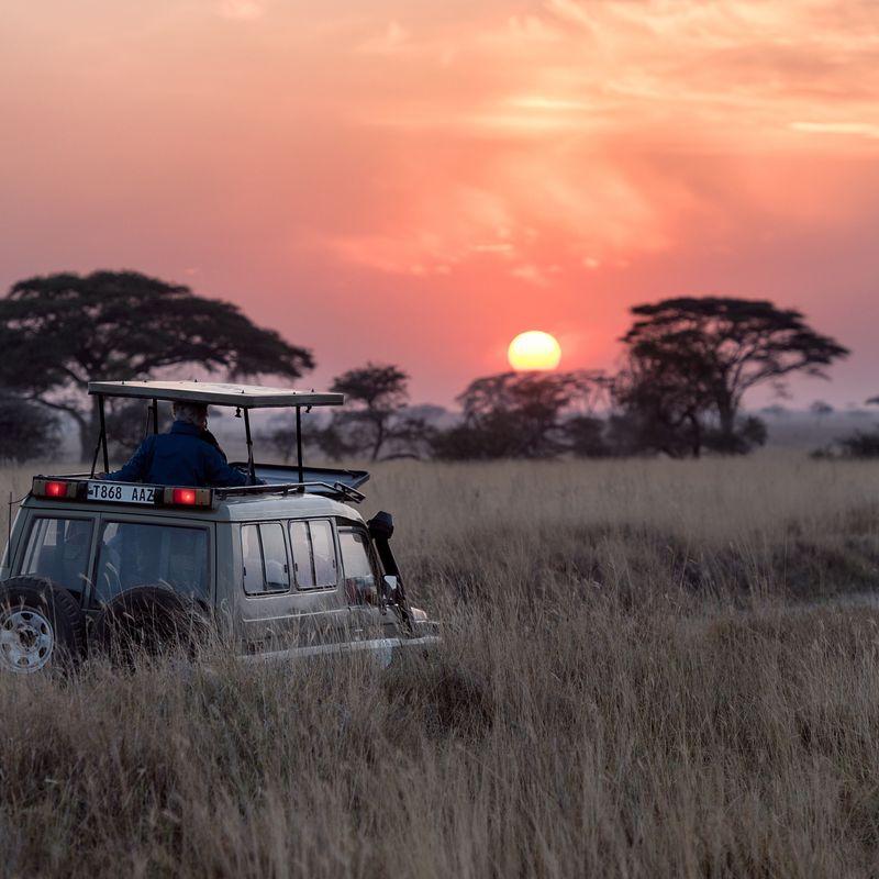 Safari na świecie: Afryka