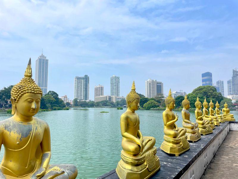 Sri Lanka - Buddyjskie świątynie, cejlońska herbata i słonie Shangrila Travel