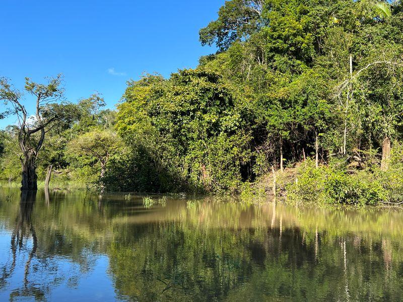 Wycieczka Brazylia Amazonia Las - Brazylia - Karnawał w Rio, dżungla w Amazonii i Wodospady Iguazu | Shangrila Travel