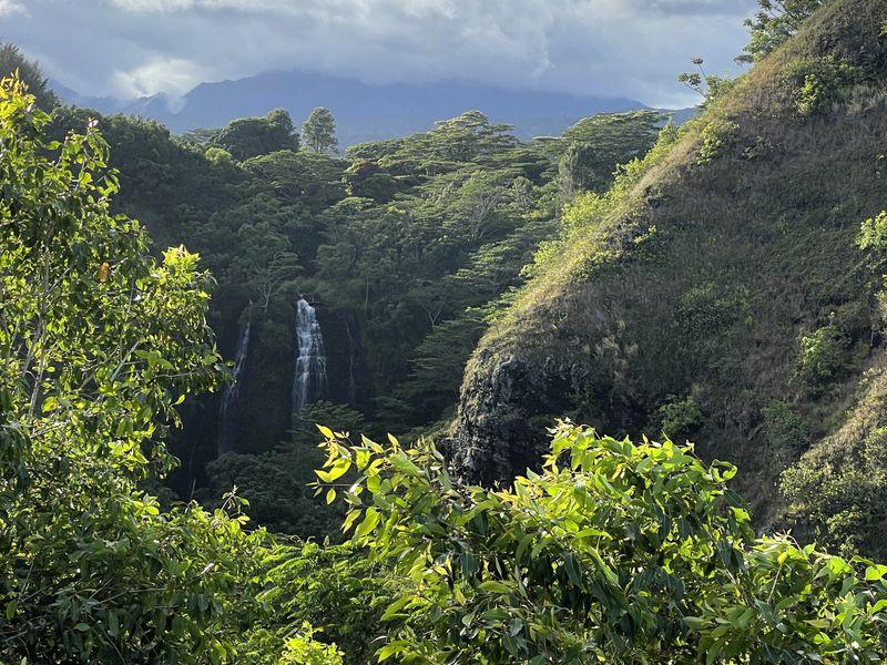 Wycieczka Hawaje Wodospad Roślinność - Hawaje - Maui, Oahu, Kawai i Hawaii - 4 różnorodne wyspy USA | Shangrila Travel