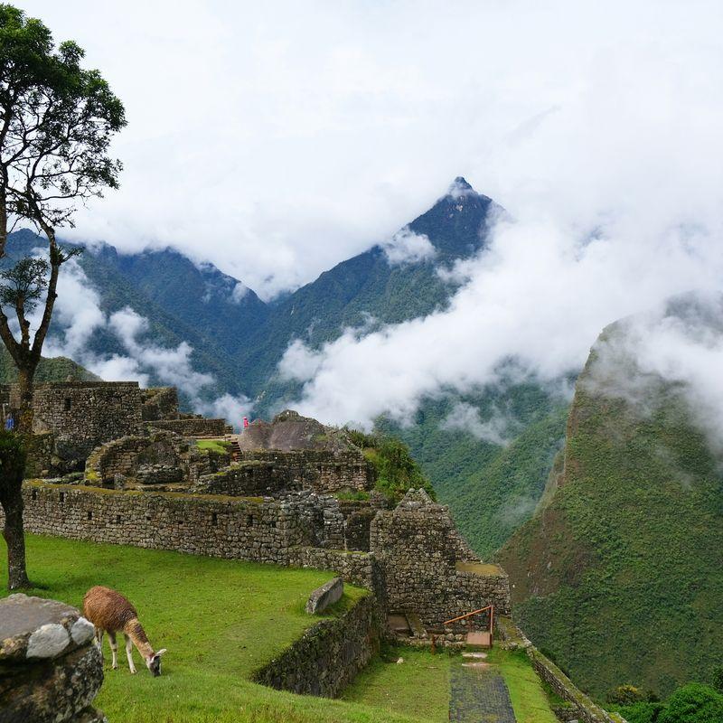 Zaginione Miasto Inków: Tajemnice Machu Picchu w Peru!