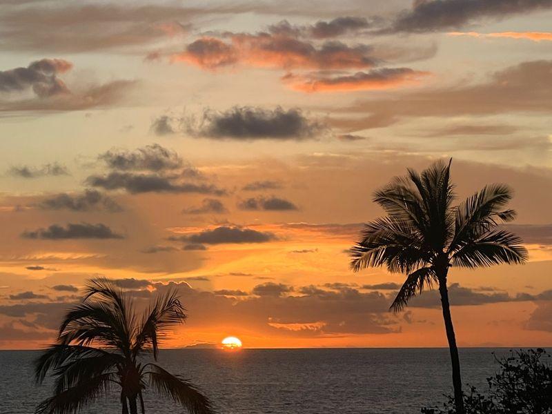 Wycieczka Hawaje Palmy Zachód Słońca - Hawaje - Maui, Oahu, Kawai i Hawaii - 4 różnorodne wyspy USA | Shangrila Travel