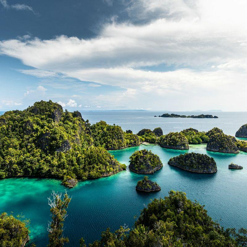 Raja Ampat, czyli archipelag Czterech Królów