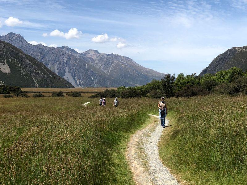 Wycieczka Nowa Zelandia Spacer W Naturze - Nowa Zelandia - Kultura Maorysów i spektakularna przyroda w krainie Władcy Pierścieni | Shangrila Travel
