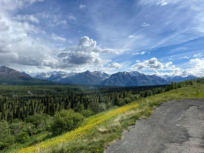 Wycieczka Alaska Usa Pasmo Gorskie - Alaska - Niedźwiedzie, lodowce i góry na północnym krańcu USA | Shangrila Travel