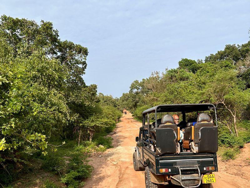 Wycieczka Sri Lanka Safari Park Yala - Sri Lanka - Buddyjskie świątynie, cejlońska herbata i słonie | Shangrila Travel