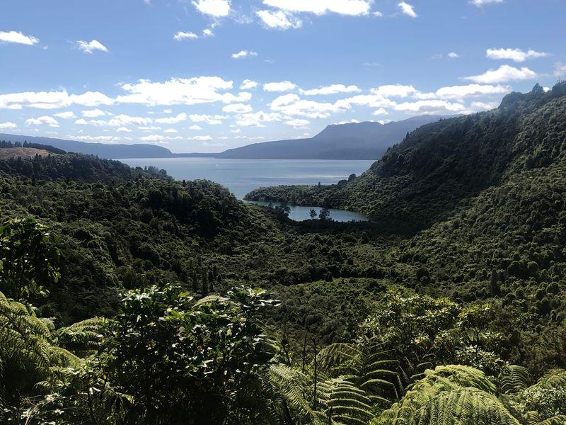 Wycieczka Nowa Zelandia Bujna Zielen - Nowa Zelandia - Kultura Maorysów i spektakularna przyroda w krainie Władcy Pierścieni | Shangrila Travel
