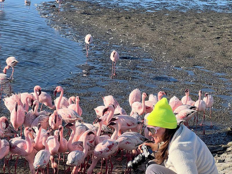 Wycieczka Namibia Flamingi - Namibia - Pustynia Namib, rdzenne plemiona i dzikie zwierzęta | Shangrila Travel