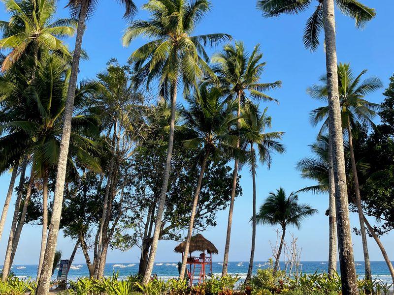 Wycieczka Filipiny Plaża Palmy - Filipiny - Rajskie plaże, bezludne wyspy, wyraki i historia Magellana | Shangrila Travel