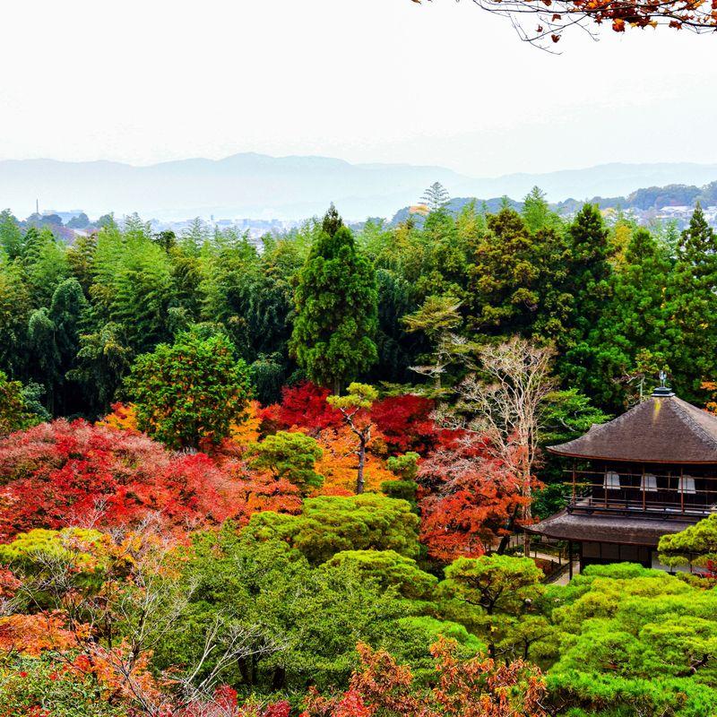 Czy jesień jest dobrą porą na wizytę w Japonii? 