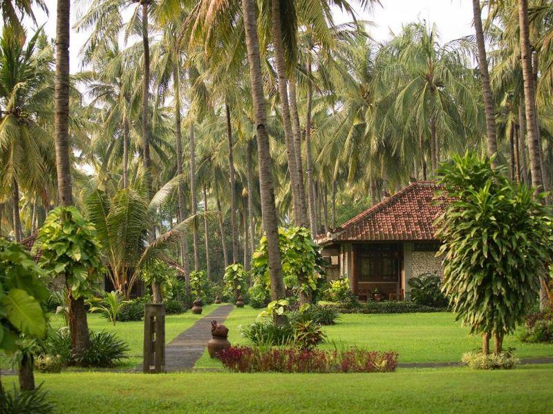 Hotele Jawa Bali Komodo 20 - Bali, Jawa i Komodo - Indonezja: kultura, świątynie, wulkany i warany - Hotel na wyjeździe z Shangrila Travel