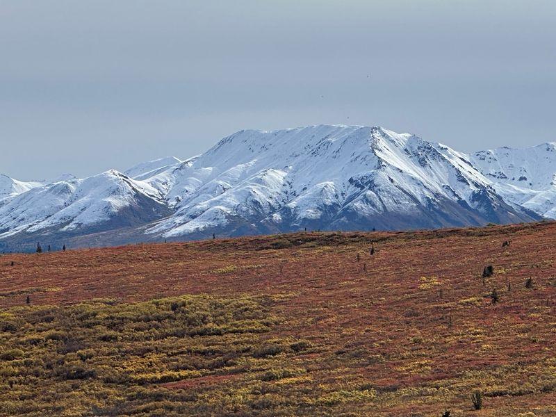 Wycieczka Alaska Kolory Jesieni - Alaska - Niedźwiedzie, lodowce i góry na północnym krańcu USA | Shangrila Travel