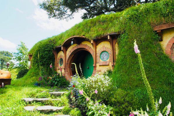 Zobacz Jaskinię Waitomo i wioskę Hobbitów 