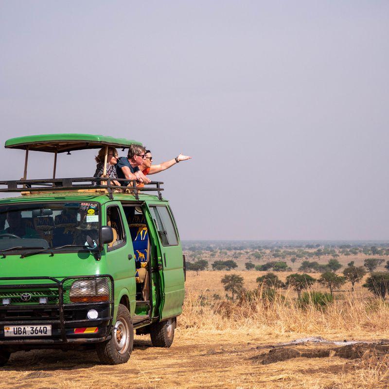 Safari w Afryce: Parki narodowe Ugandy