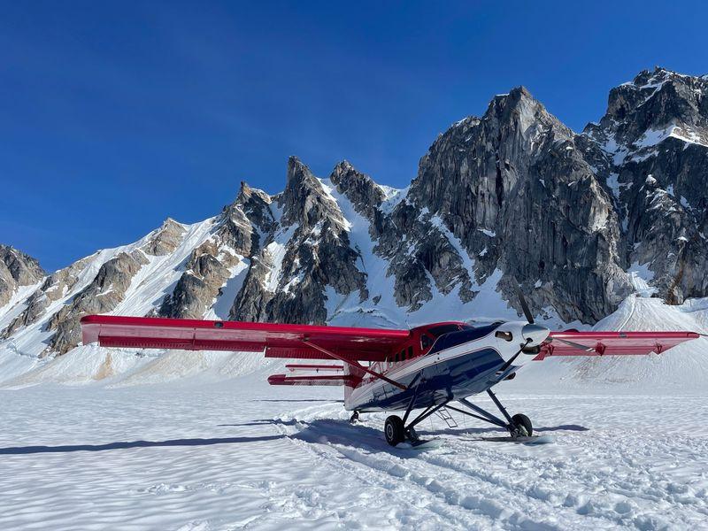 Wycieczka Alaska Denali Helikopter -  Tropem niedźwiedzi brunatnych i kodiak - Zdjęcie 2