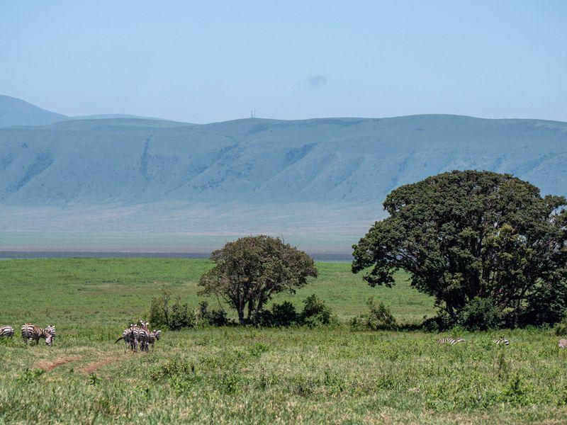 Tanzania Ngorongoro Shangrilatravel 21 - Tanzania z Zanzibarem - Kultura Masajów i niesamowite safari w 4 parkach narodowych | Shangrila Travel