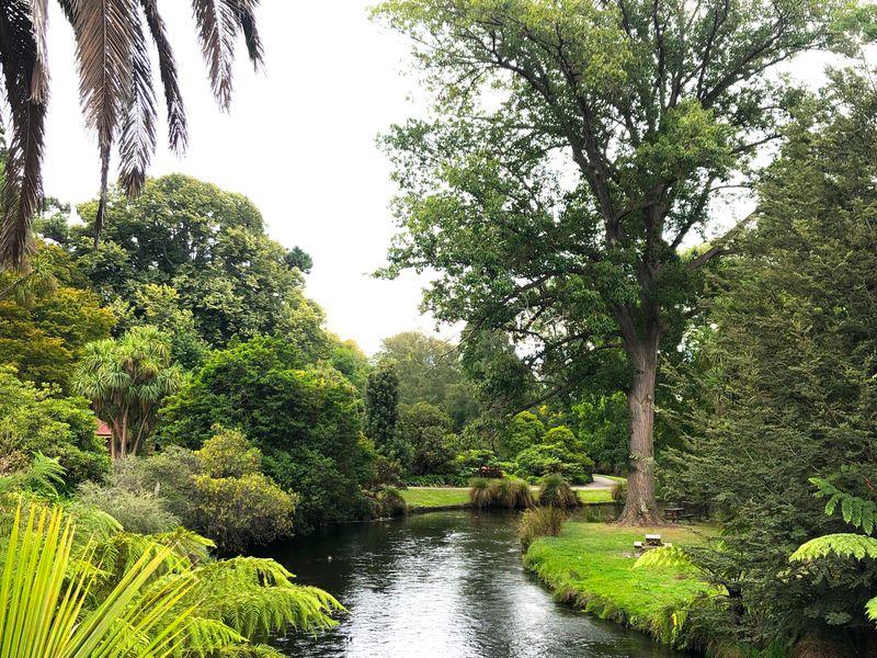 Wycieczka Nowa Zelandia Park - Nowa Zelandia - Kultura Maorysów i spektakularna przyroda w krainie Władcy Pierścieni | Shangrila Travel