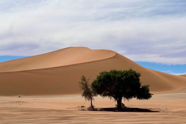 Zobacz surrealistyczne miejsca Pustyni Namib