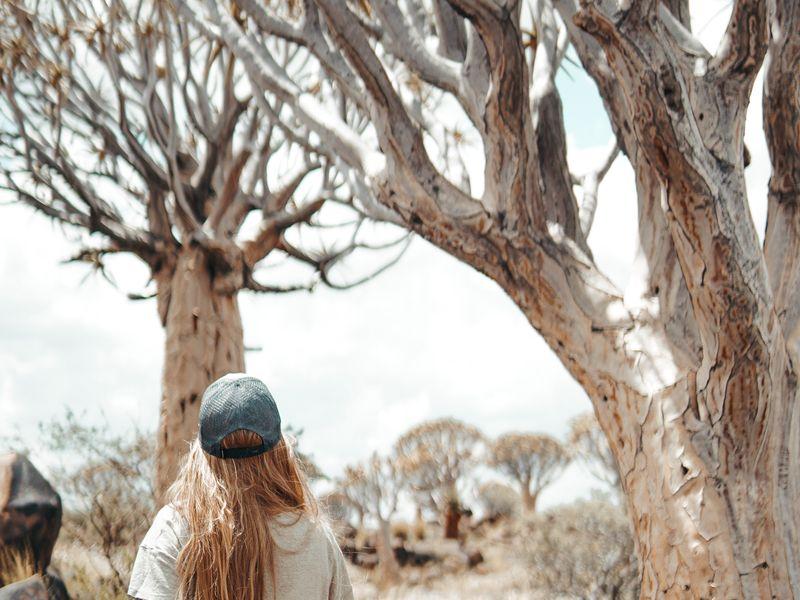Wycieczka Namibia Drzewa Kolczanowe - Namibia - Pustynia Namib, rdzenne plemiona i dzikie zwierzęta | Shangrila Travel