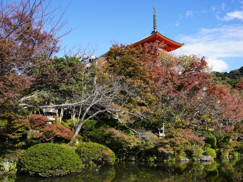 Wycieczka Japonia Kioto Ogrod Japonski - Japonia z Okinawą - Nowoczesność i tradycja - Tokio, Kioto, Fuji i Hiroshima | Shangrila Travel