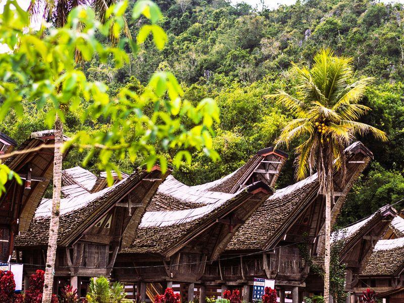 Wycieczka Indoenzja Celebes Borneo Raja Ampat Kete Kesu - Borneo, Celebes i Raja Ampat - Indonezja: orangutany, lokalne tradycje i rajskie wyspy | Shangrila Travel