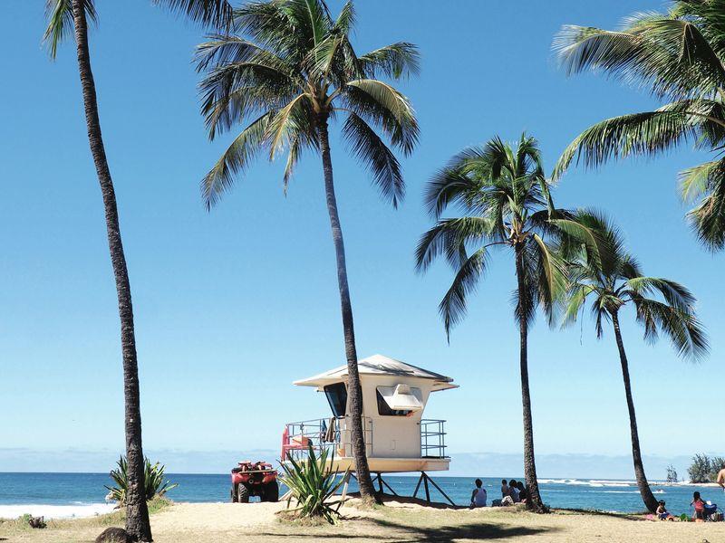 Wycieczka Hawaje Plaża Budka - Hawaje - Maui, Oahu, Kawai i Hawaii - 4 różnorodne wyspy USA | Shangrila Travel